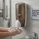 Dial® Basics Liquid Handsoap 100mL Refill, Rosemary Mint - 8/cs. 2