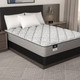 Sealy Decorah Mattress - Full 53"x75"x12" 1