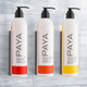 PAYA® 12 oz. Shampoo DoveLok™ Bottle 3