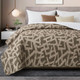 Terrah Pinsonic Quilted Coverlet - Queen 94"x96" 2