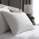 Fossfill Pillow - Queen (21x31) - 29 oz. Fill 3