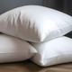Premium Hollowcore Pillow - Standard Firm (20x26) - 30 oz. Fill with Microfiber Shell 1