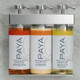 SOLera™ Two-Unit PAYA® Dispenser 1